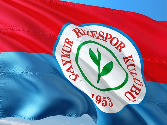 凭借结合国 凭借结合国