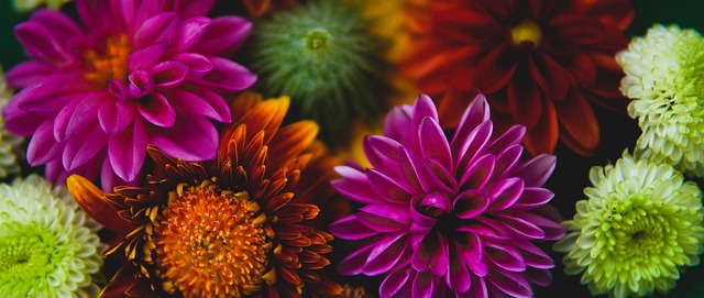 队成长轨迹 队成长轨迹