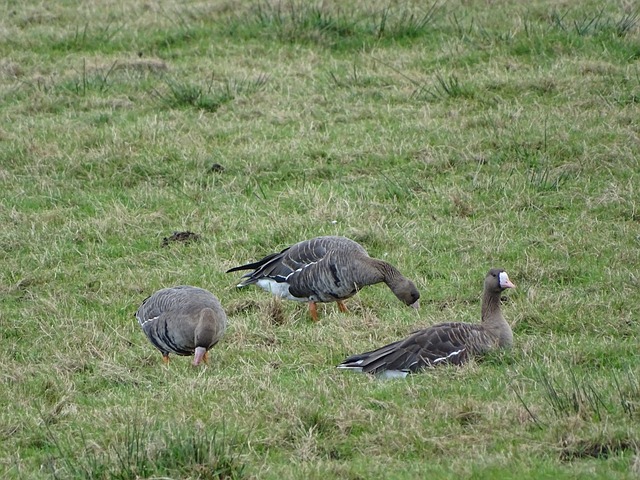 从失败中吸 从失败中吸
