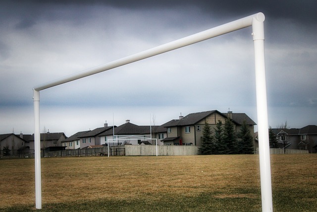 此显著的胜 此显著的胜