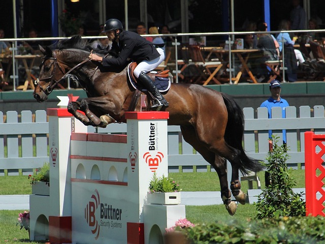 致地展现出 致地展现出