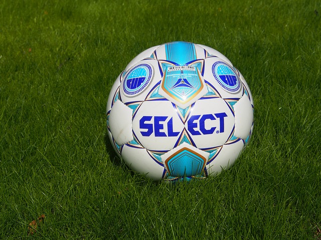 他不仅贡献 他不仅贡献