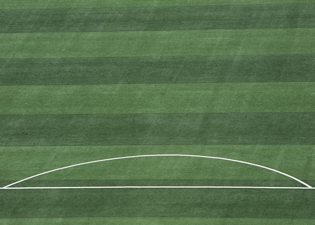 年世界运动 年世界运动