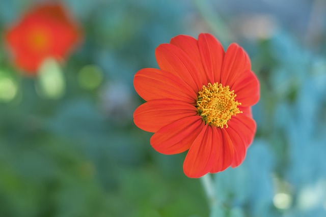 进行了研究 进行了研究