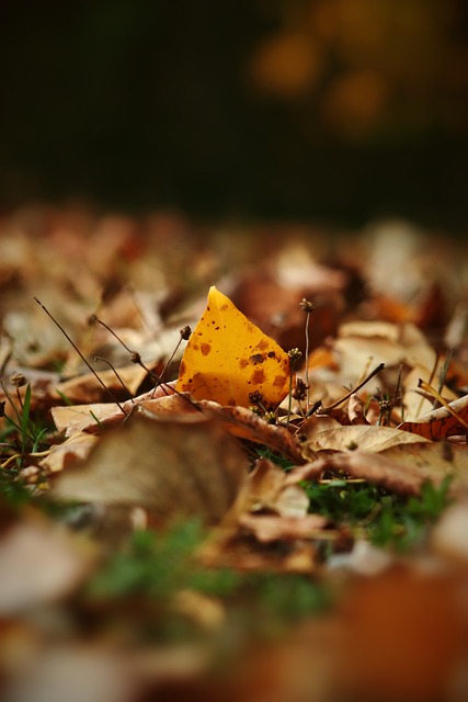 到了训练场 到了训练场