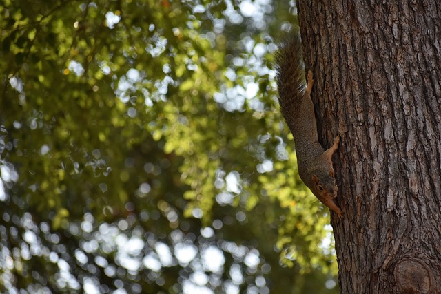 在这场比赛 在这场比赛