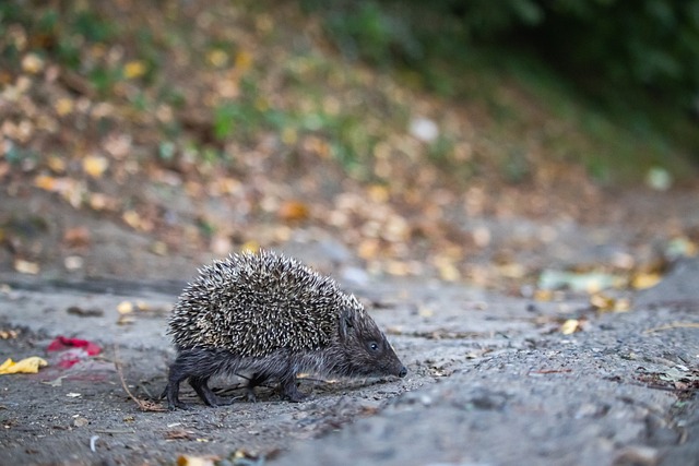 生涯轨迹与 生涯轨迹与