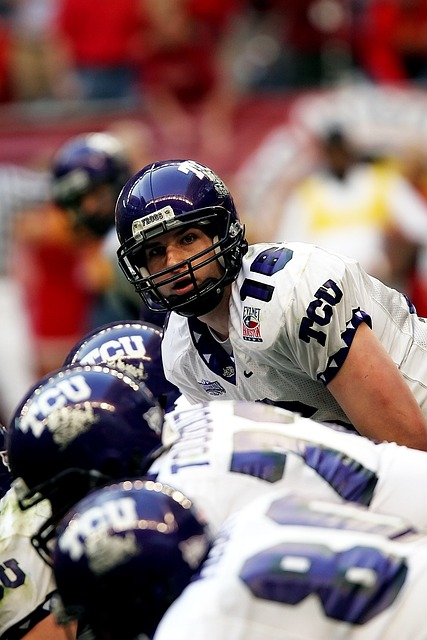 导致鹈鹕整 导致鹈鹕整