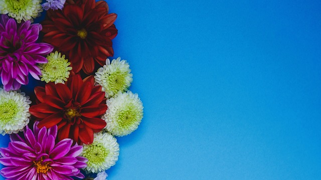 不论是突破 不论是突破